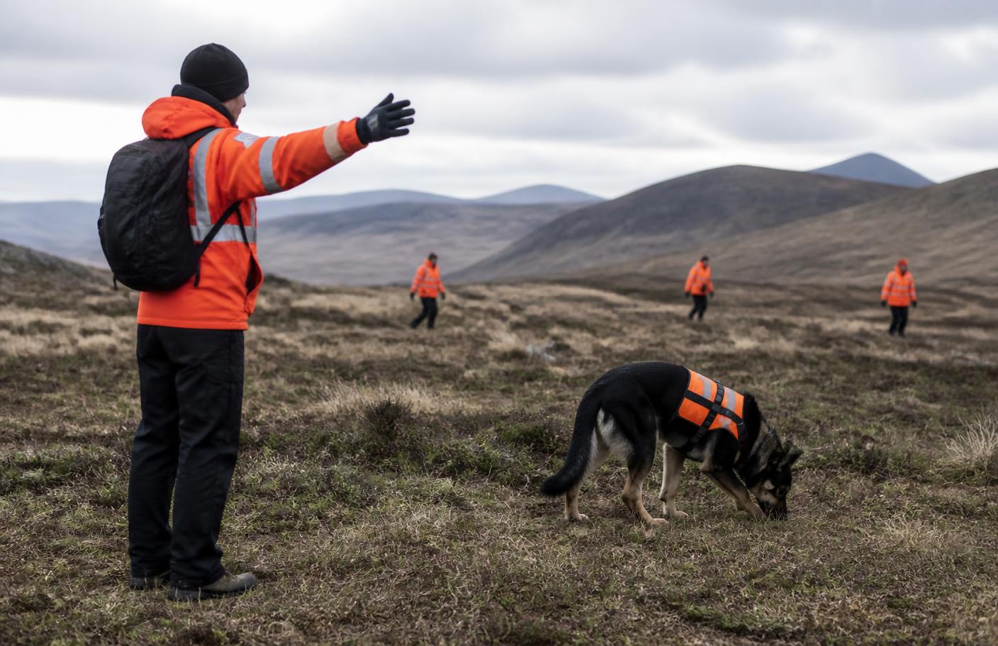 Voluntarios entrenando con un perro de búsqueda en terreno abierto